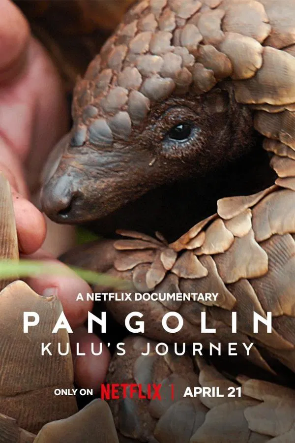 Pangolin: Kulu’s Journey (2025) การเดินทางของคูลู